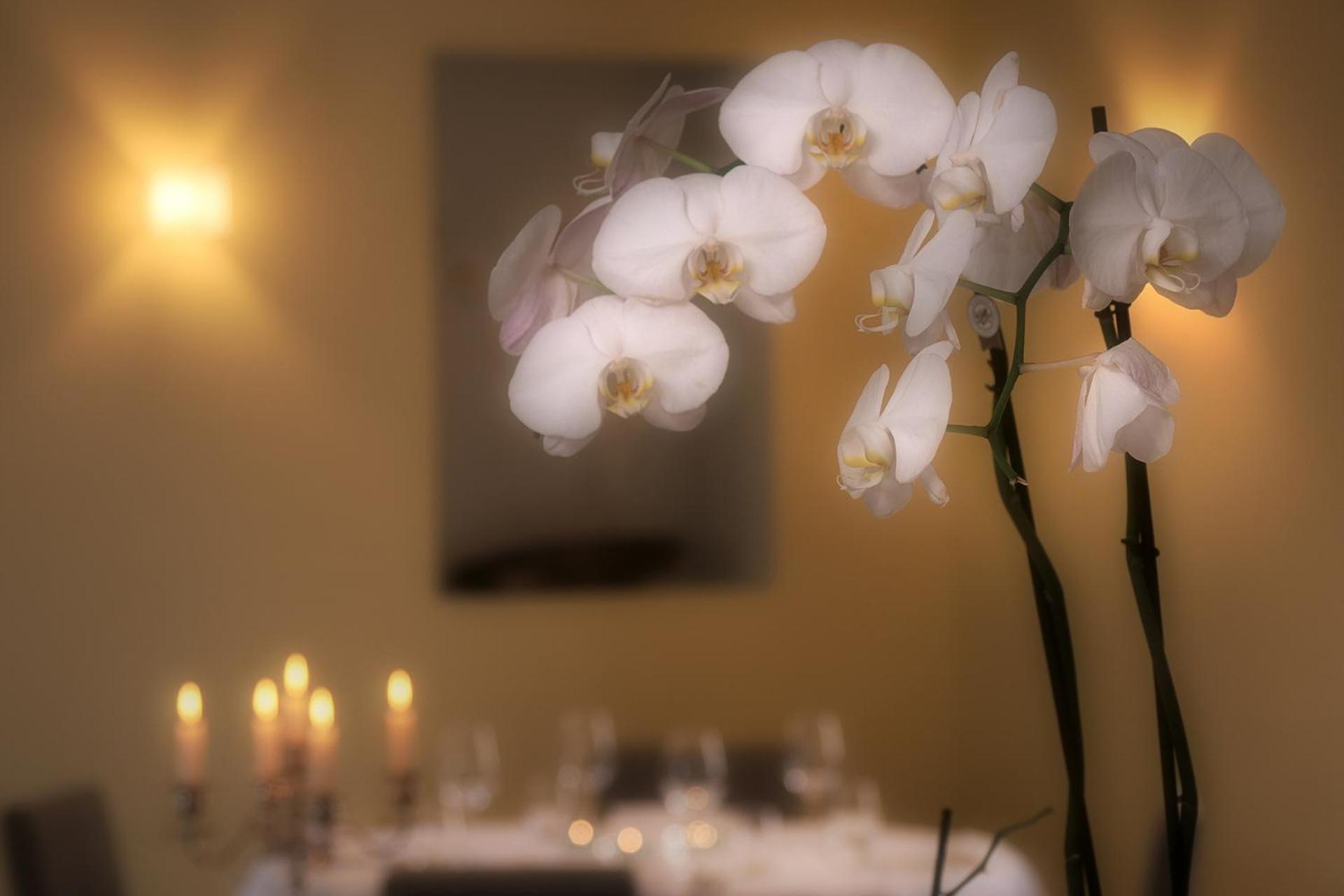 Ristorante Charme Hotel Tre Terre Ponte Brolla Экстерьер фото