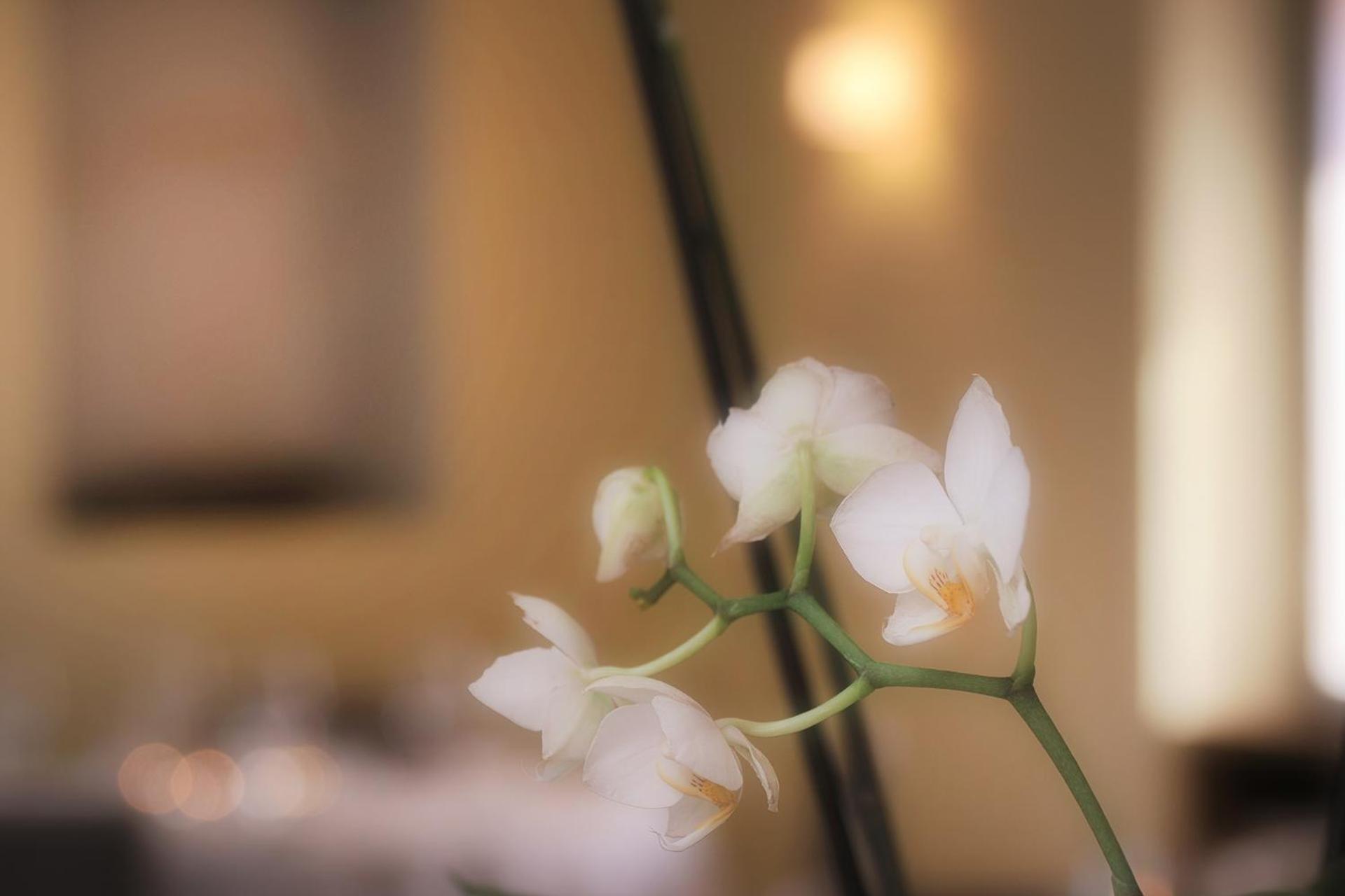 Ristorante Charme Hotel Tre Terre Ponte Brolla Экстерьер фото
